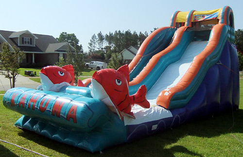 Inflatable Big Kahuna Water Slide