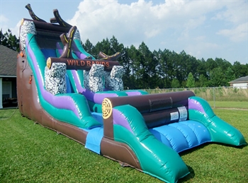 Inflatable Wild Rapids Wet and Dry Slide